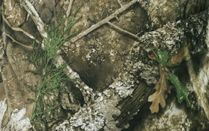 Realtree Original camo pattern by Realtree