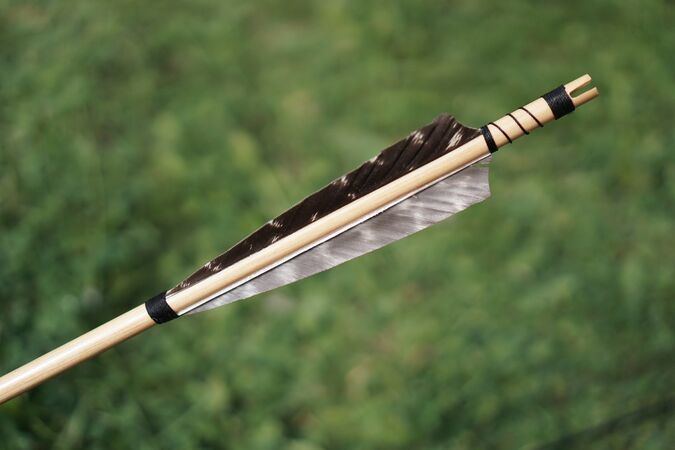 Best Archery & Bowhunting Gear