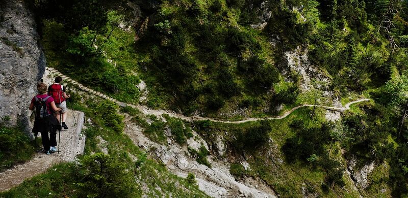 Best Hiking Gear