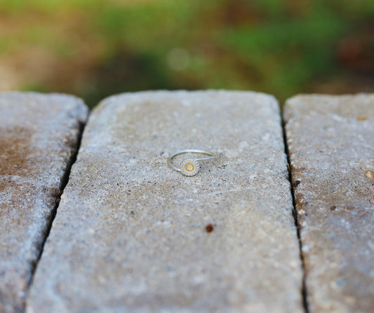 Single seed ring